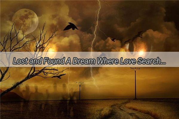 Lost and Found A Dream Where Love Searches for Its Way Back